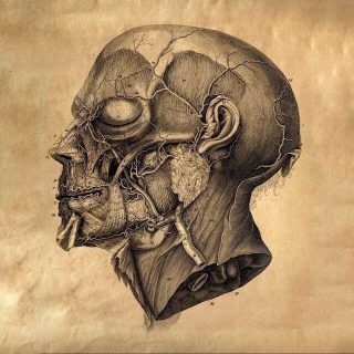 Канал о граничащей с искусством медицине: архивные фото вскрытий, разбор старинных хирургических инструментов, лекции по танатологии и криминальной антропологии. Вход — на ваш страх и риск.